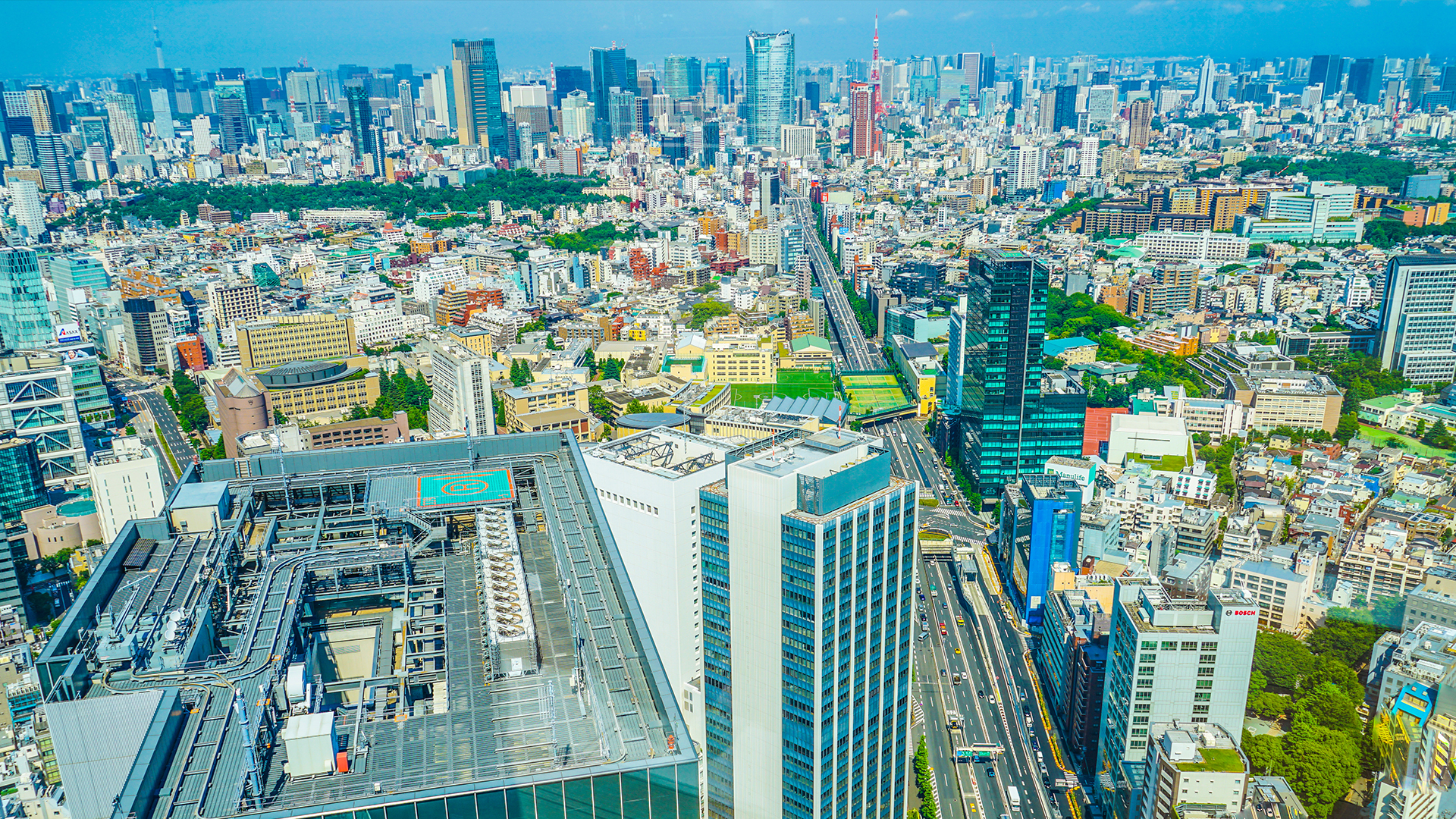 Fエージェンシー株式会社