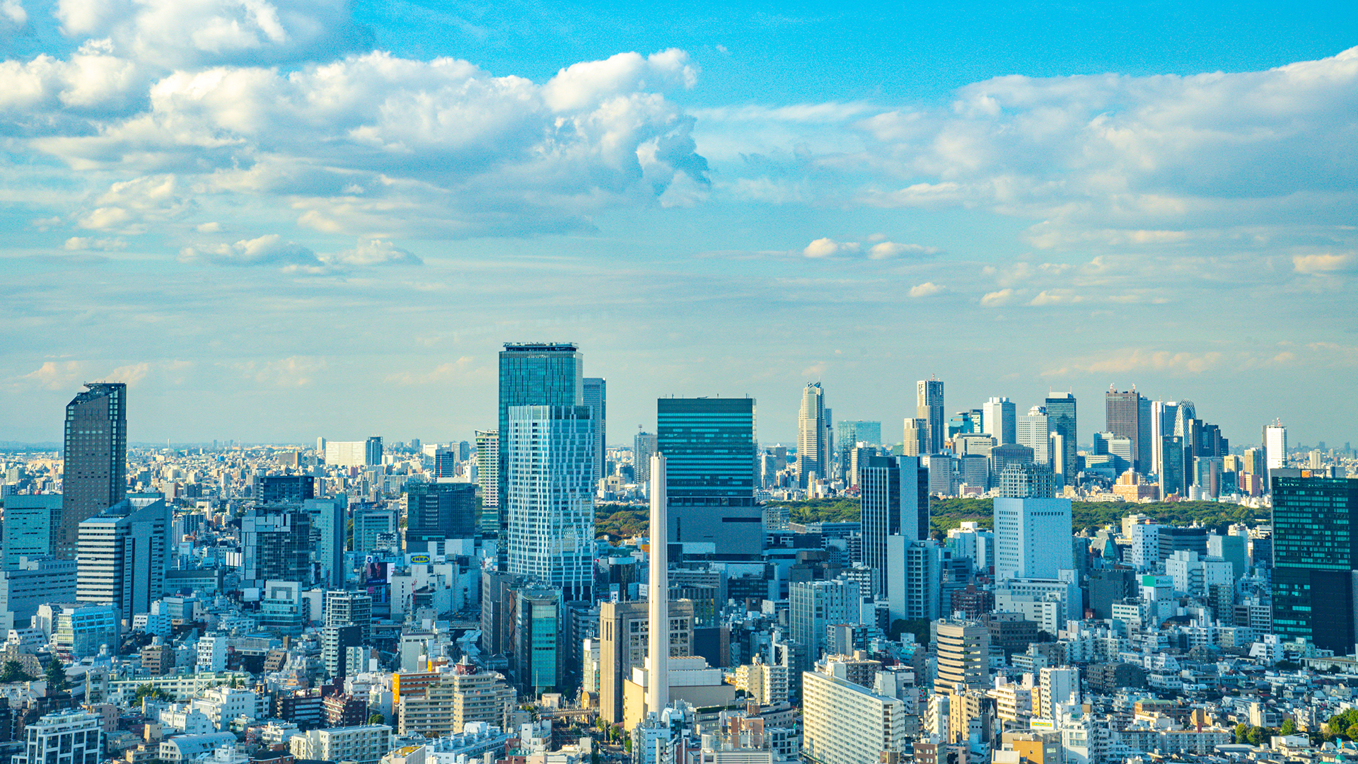 Fエージェンシー株式会社