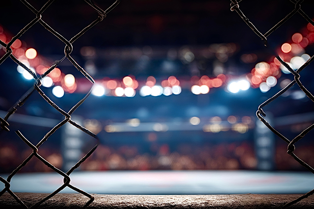 格闘技イベントの企画・運営と熱狂の創出